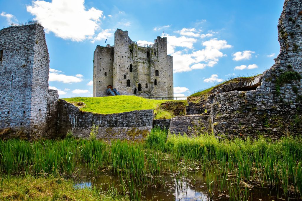 The massive three-storey stone keep of Trim Castle rises on a grassy mound, seen from inside the ruined curtain walls across a reed-filled, water-logged ditch. Weathered grey limestone towers and wall fragments frame both sides, a modern me
