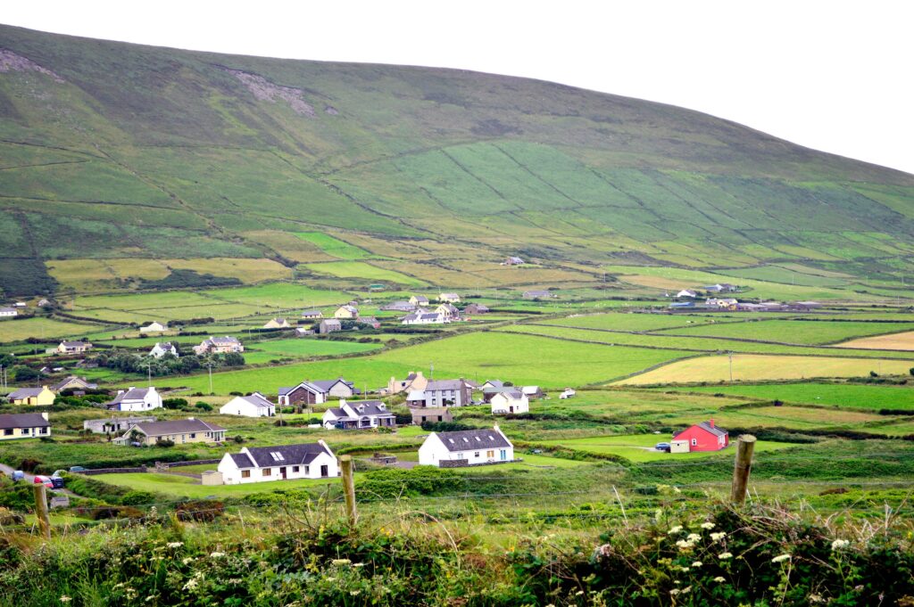 Scattered white farmhouses and bungalows, with one bright red house, dotted across a patchwork of green and yellow fields below a broad hillside divided by old field boundaries on the Dingle Peninsula. Wildflowers and wooden fence posts lin